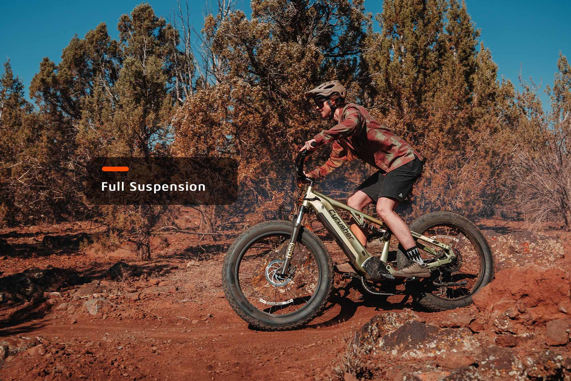 Rover All-Terrain Electric Bike