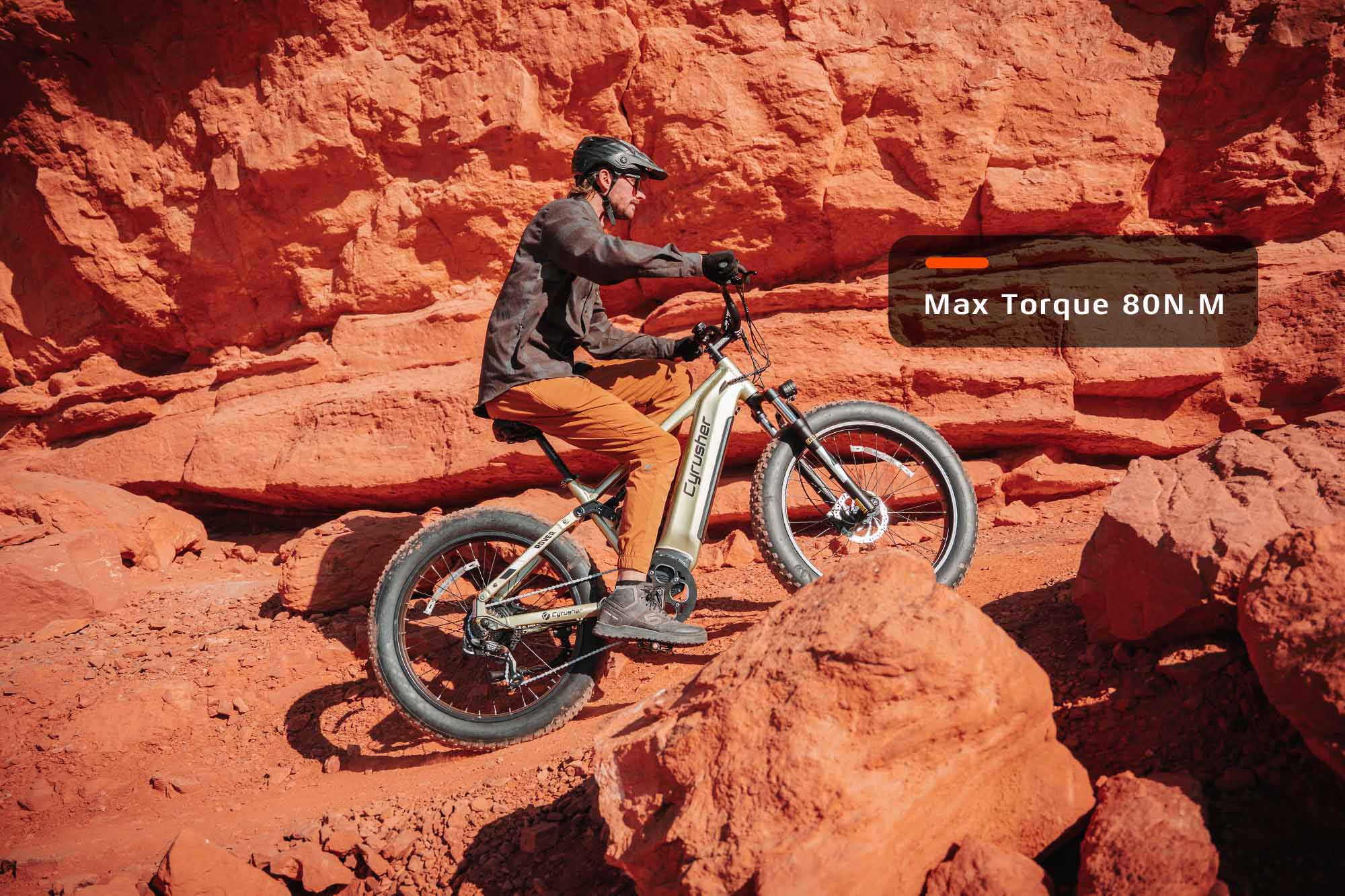 Rover All-Terrain Elektrische Fiets