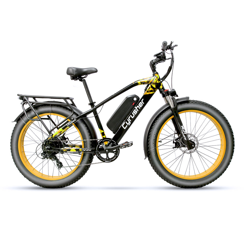 Berijder (XF650) Mountain Ebike 750 W 16 Ah - Main Image
