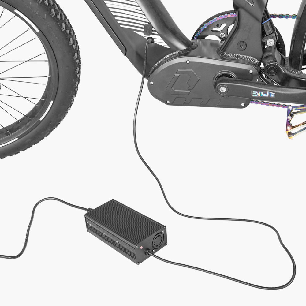 52V 5A fast charger for Ovia & Ranger1.0&2.0 & Trax