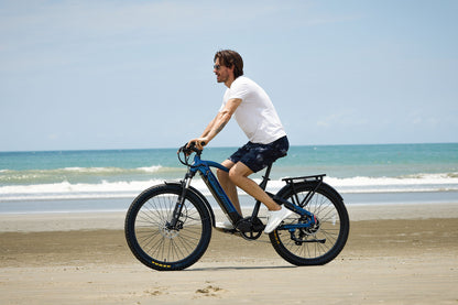 Flex Mountain E-Bike