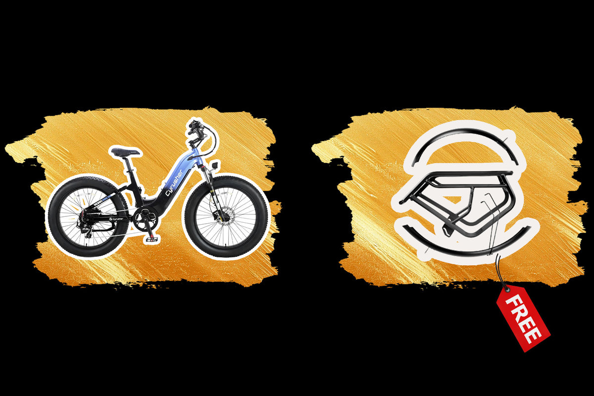 BFCM: Roam + Free Fenders & Rear Rack