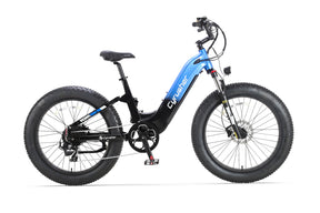 Roam All-Terrain Electric Bike