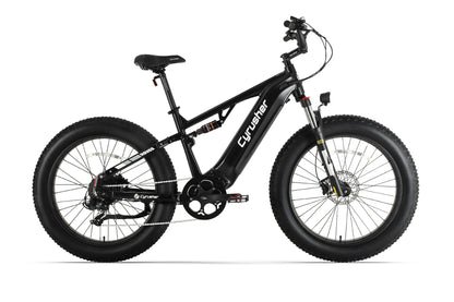 Rover All-Terrain Electric Bike