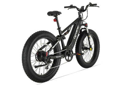 Rover All-Terrain Electric Bike
