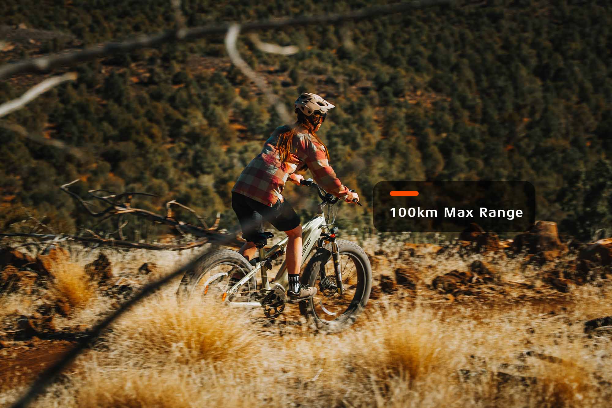 Bicicletta Elettrica Rover Tutto Terreno