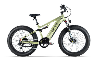 Rover All-Terrain Electric Bike