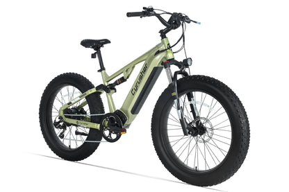 Rover All-Terrain Electric Bike