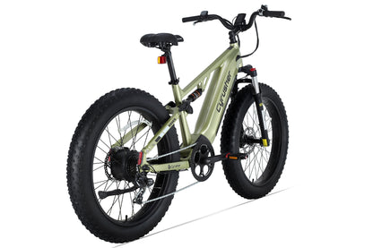 Rover All-Terrain Electric Bike