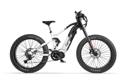Bici elettrica Trident Mid-Drive