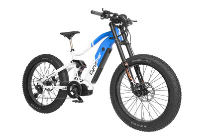 Bici elettrica Trident Mid-Drive
