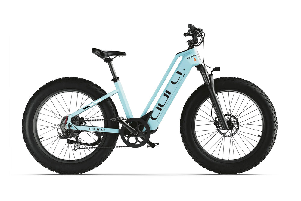 Bicicletta elettrica Aura con telaio basso