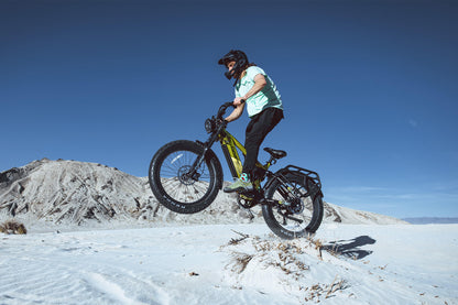 Ranger 2.0 All-Terrain Electric Bike