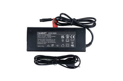 52V Charger for Roam/Rover