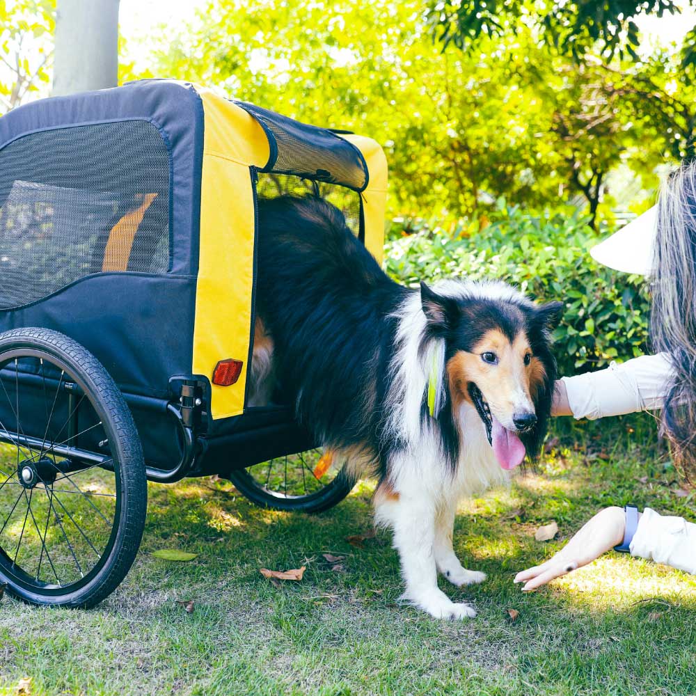 Rimorchio per bici per animali domestici