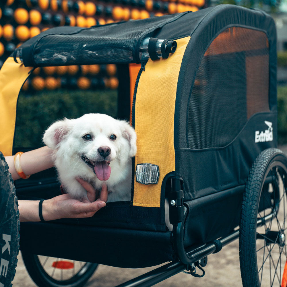 Rimorchio per bici per animali domestici