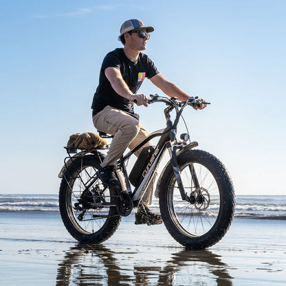 Cyrusher Rider (XF650), Affordable Mountain Ebike